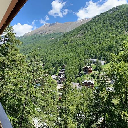 Appartements Zermatt Paradies Екстер'єр фото