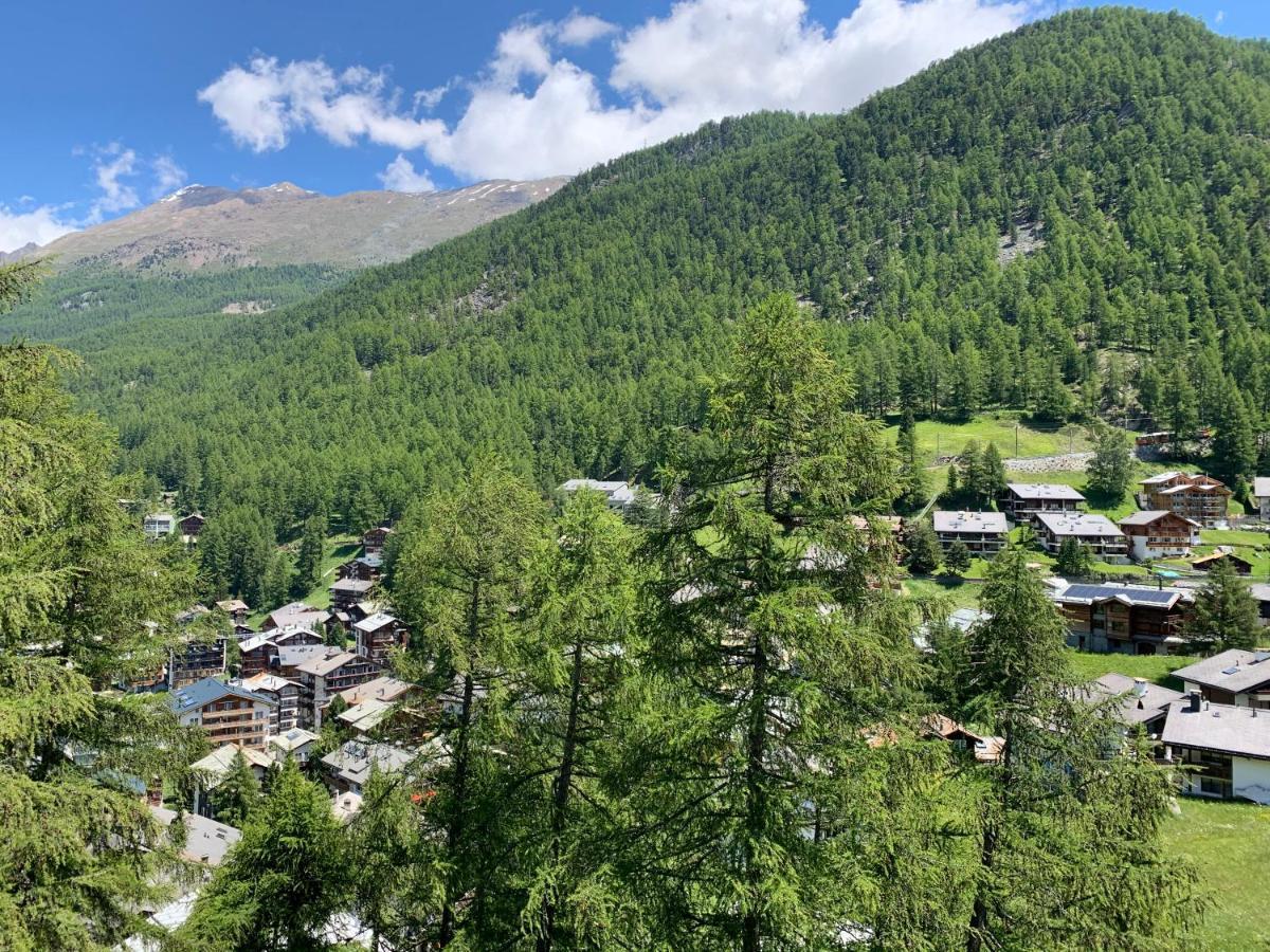 Appartements Zermatt Paradies Екстер'єр фото