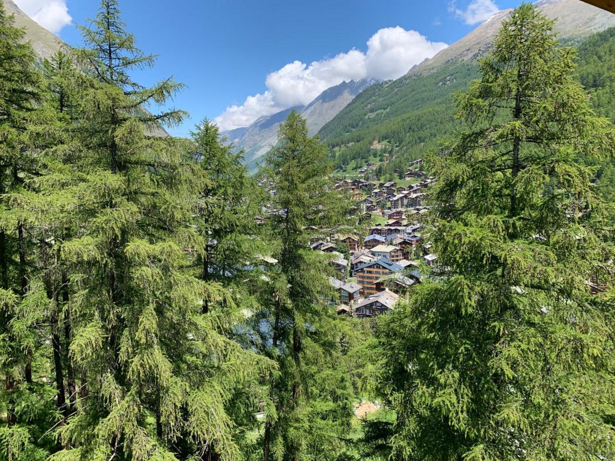 Appartements Zermatt Paradies Екстер'єр фото