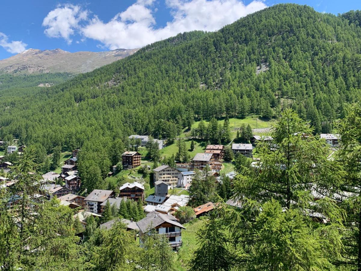 Appartements Zermatt Paradies Екстер'єр фото