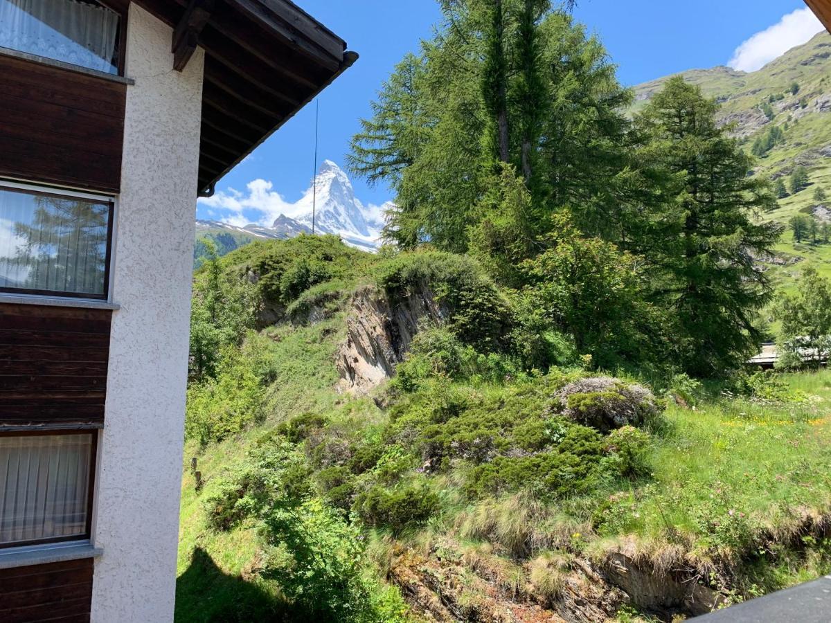 Appartements Zermatt Paradies Екстер'єр фото