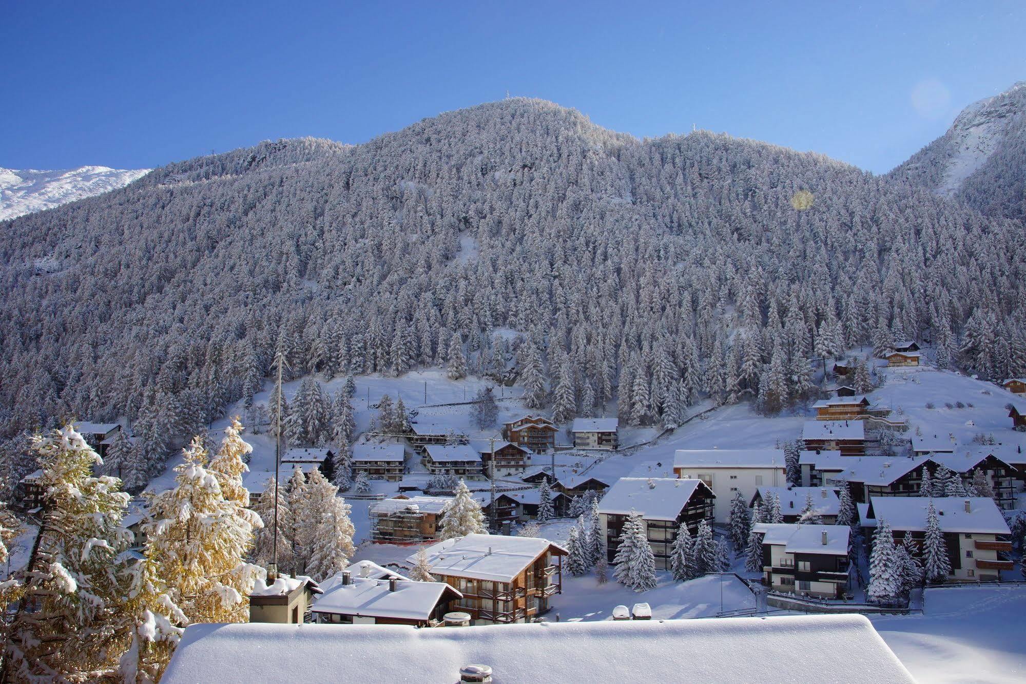 Appartements Zermatt Paradies Екстер'єр фото